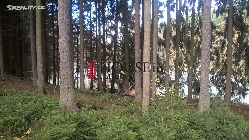 Prodej  lesa 2 820 m², Chýstovice, okres Pelhřimov