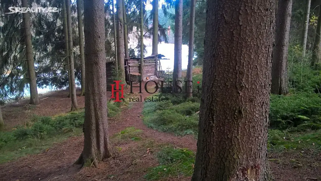 Prodej  lesa 2 820 m², Chýstovice, okres Pelhřimov