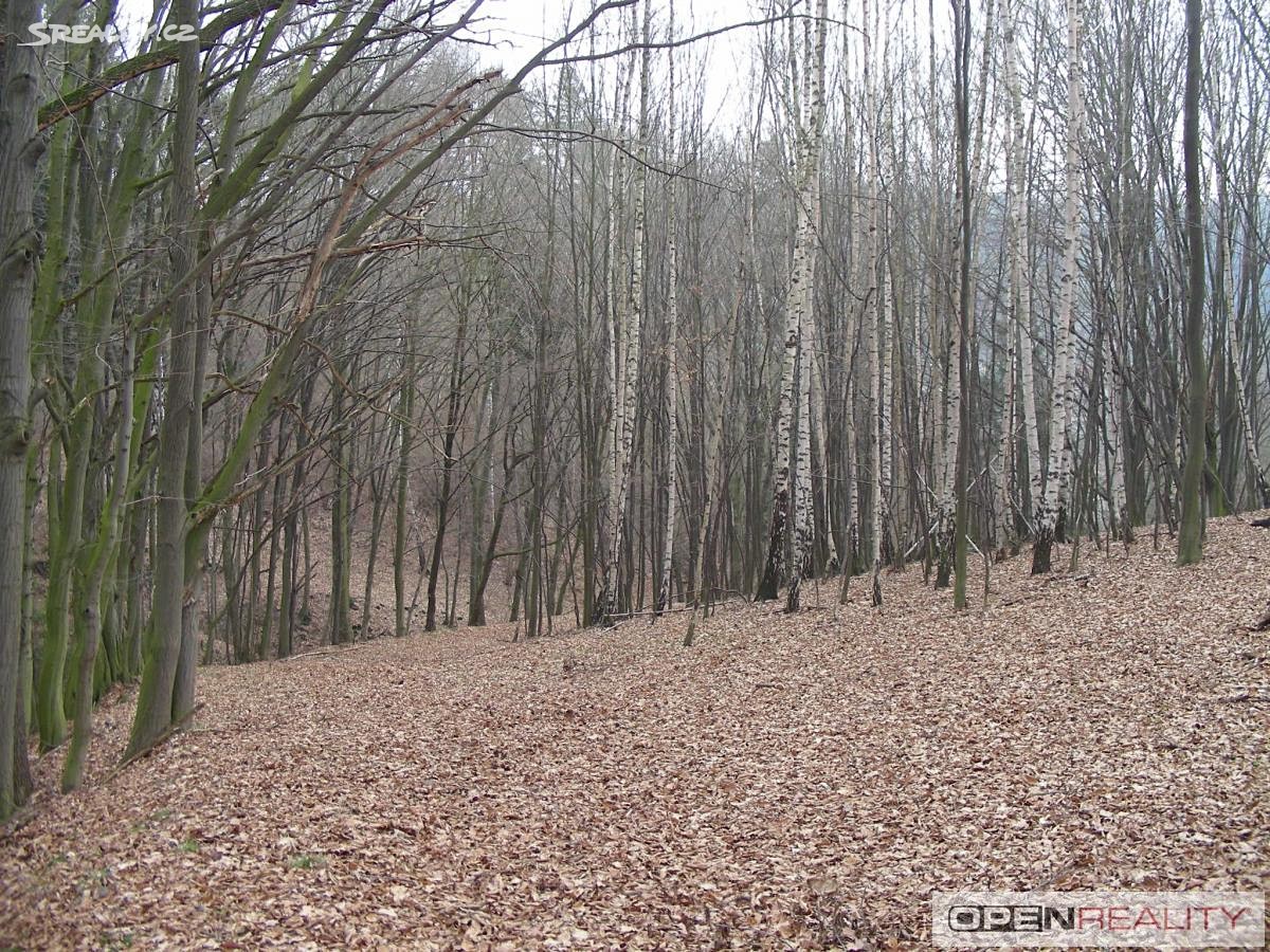 Prodej  lesa 12 448 m², Letovice, okres Blansko