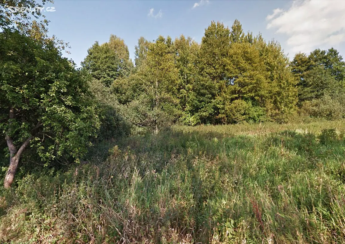 Prodej  lesa 5 142 m², Žandov - Valteřice, okres Česká Lípa