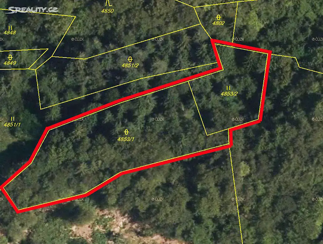 Prodej  lesa 3 244 m², Halenkov, okres Vsetín