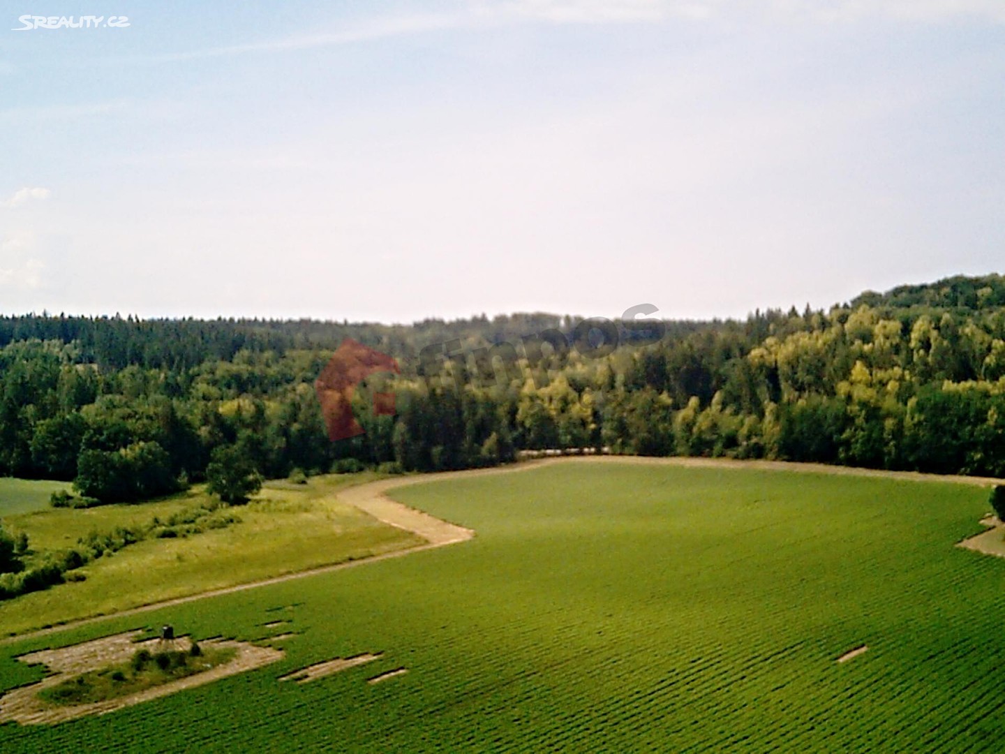Prodej  lesa 3 435 m², Vráž, okres Písek