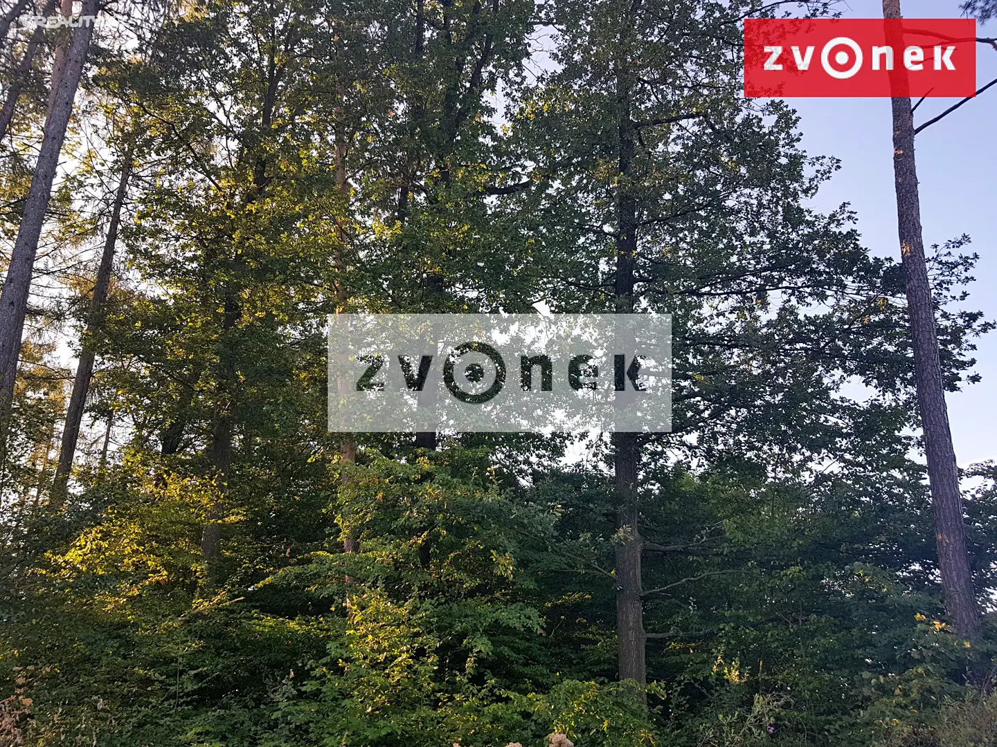 Prodej  lesa 15 160 m², Ludkovice - část obce Ludkovice, okres Zlín