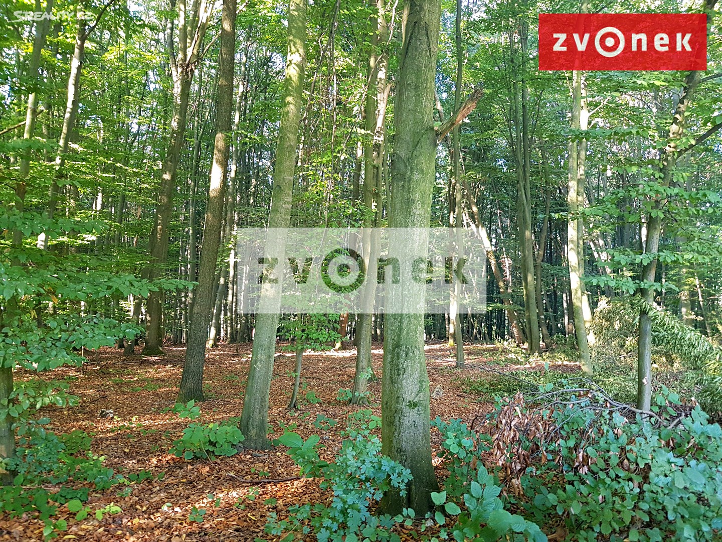 Prodej  lesa 76 779 m², Slavičín - část obce Slavičín, okres Zlín