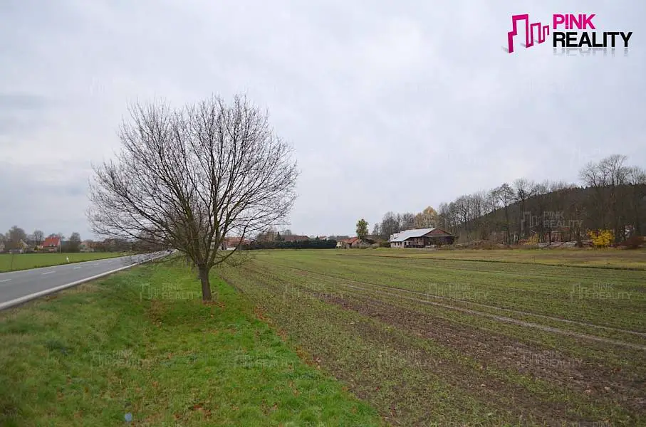 Čestice, okres Rychnov nad Kněžnou