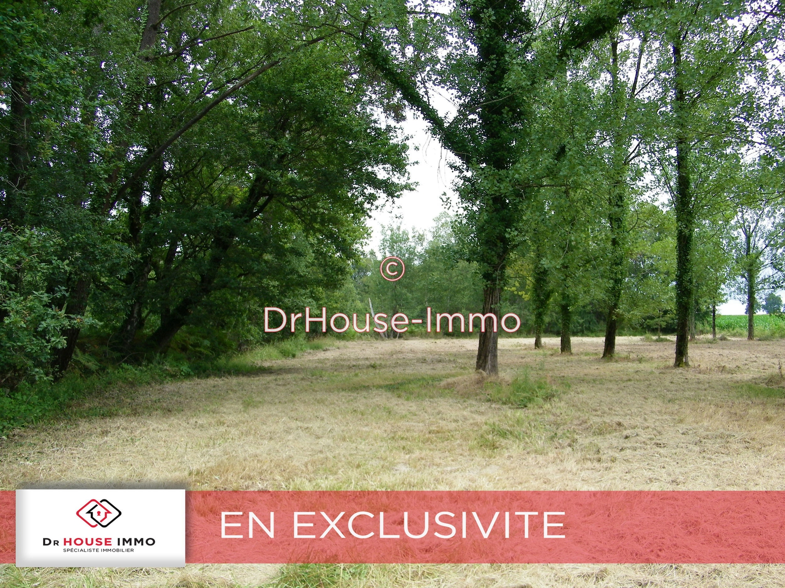 Vente terrain 3 600 m2