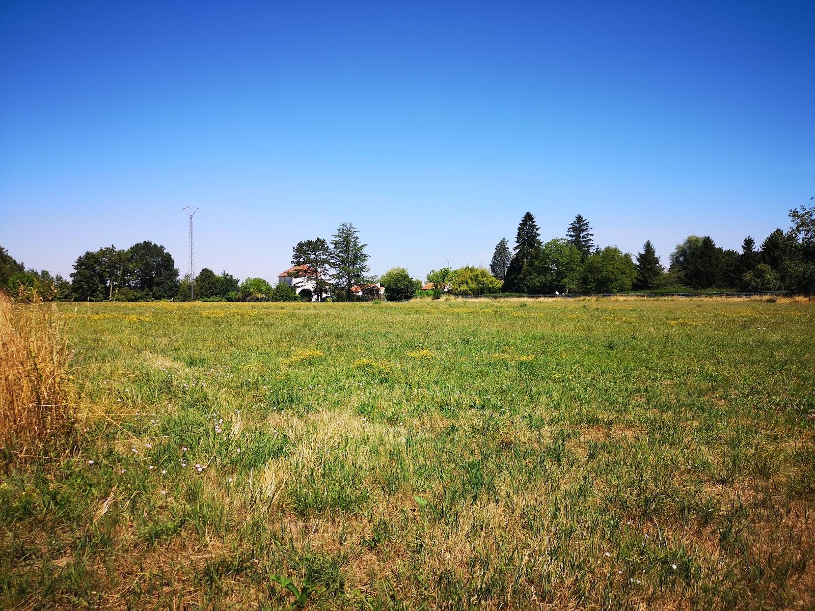 Vente terrain à bâtir 1 237 m2