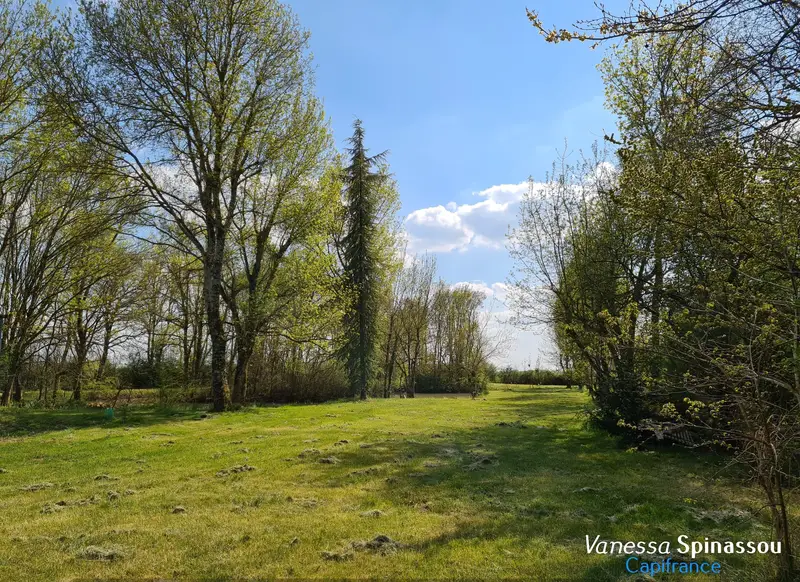 Vente terrain 5 981 m2