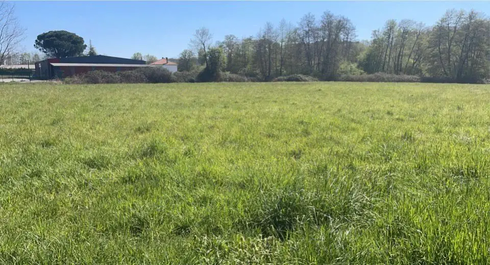 Vente terrain à bâtir 6 100 m2