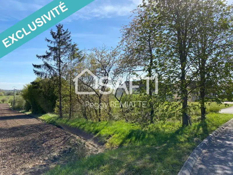 Vente terrain à bâtir 2 810 m2