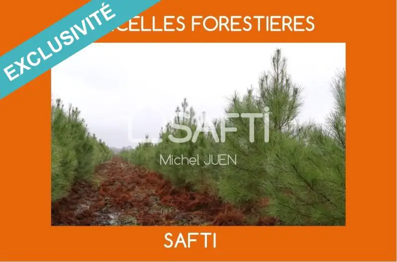 Vente terrain 69 528 m2