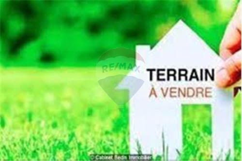 Vente terrain