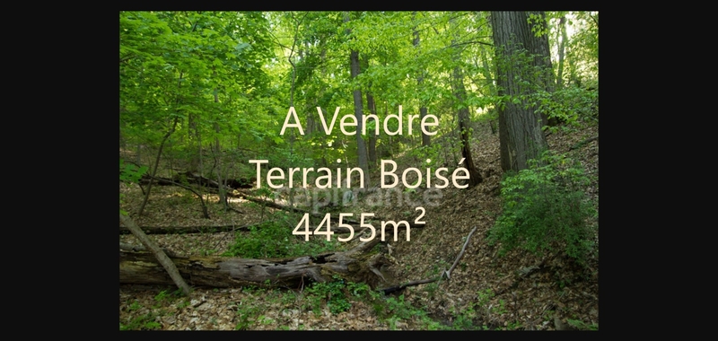Vente terrain 4 455 m2
