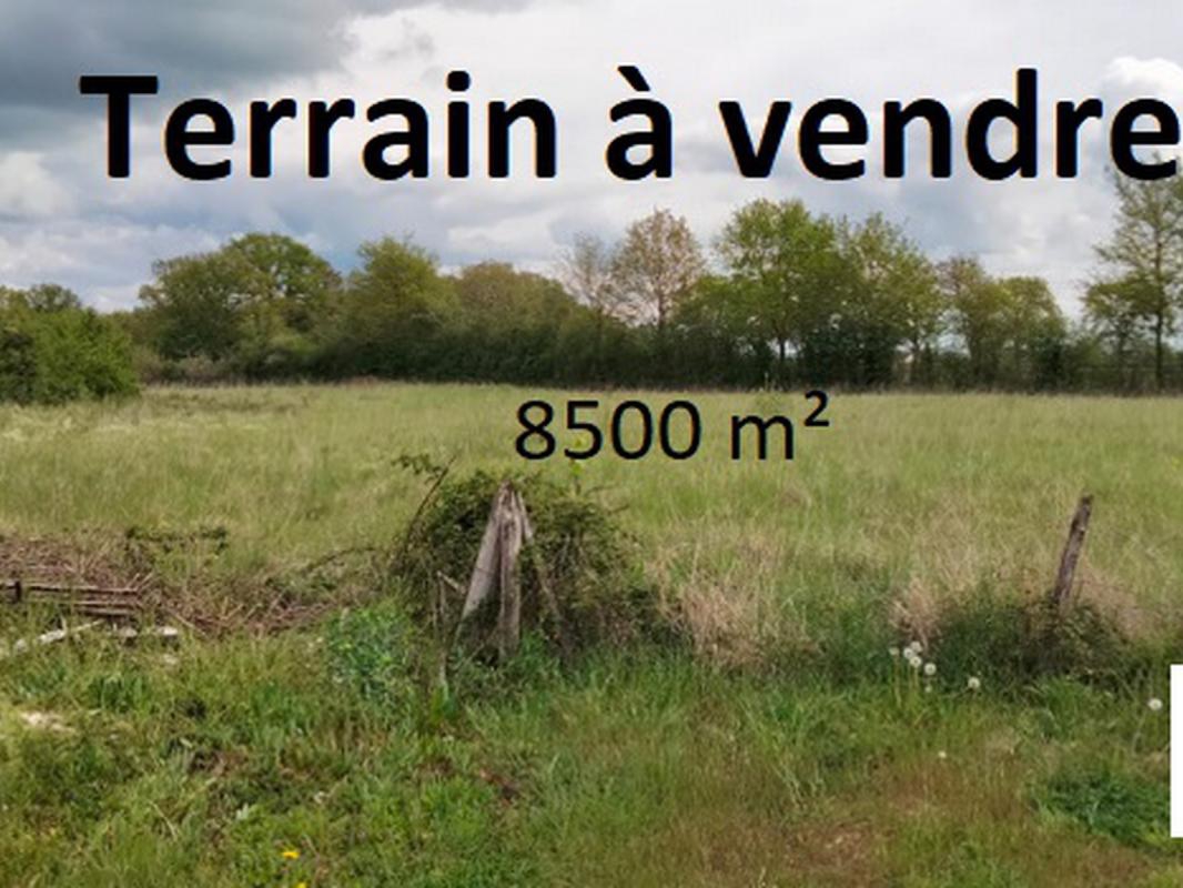 Vente terrain 8 500 m2