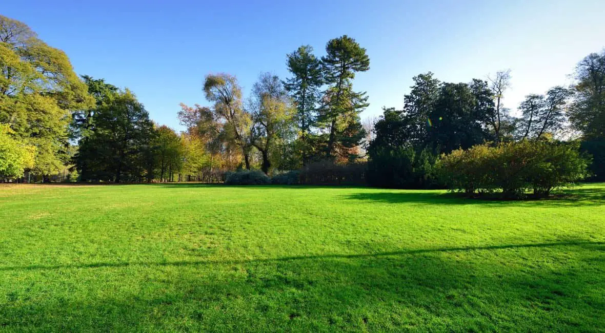 Vente terrain à bâtir 1 000 m2