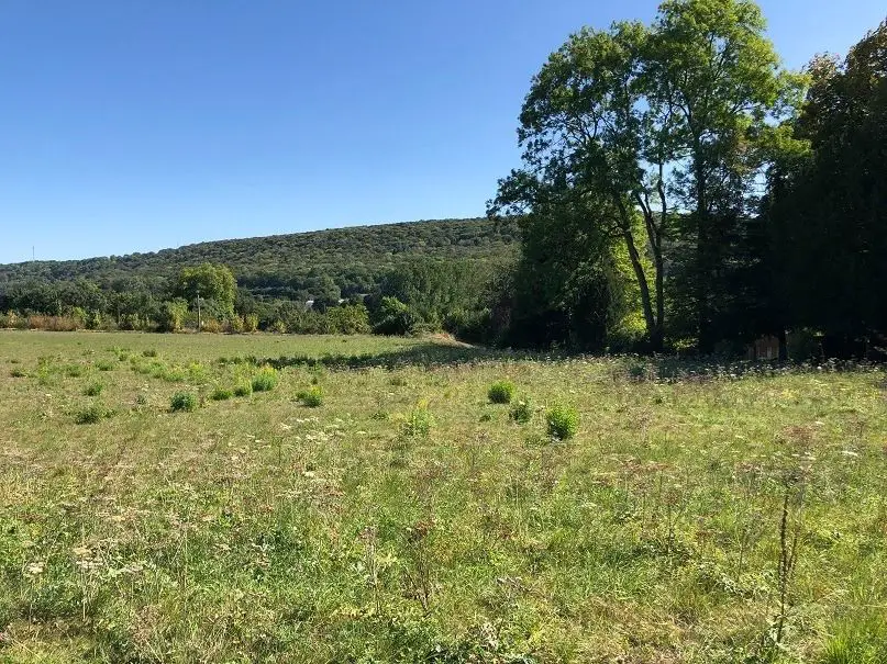 Vente terrain à bâtir 555 m2