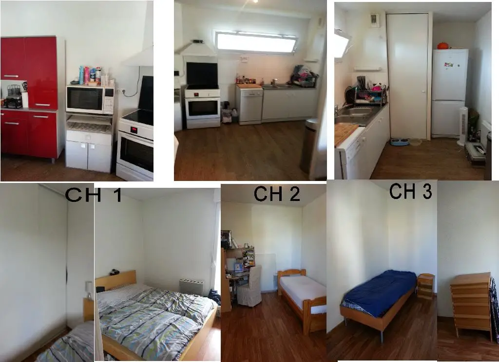 Location appartement meublé 4 pièces 81 m2