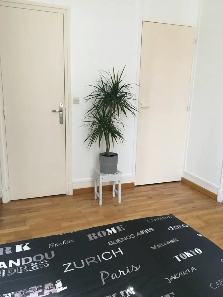 Location appartement meublé 2 pièces 35 m2