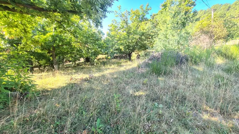 Location maison 4 pièces 73,36 m2