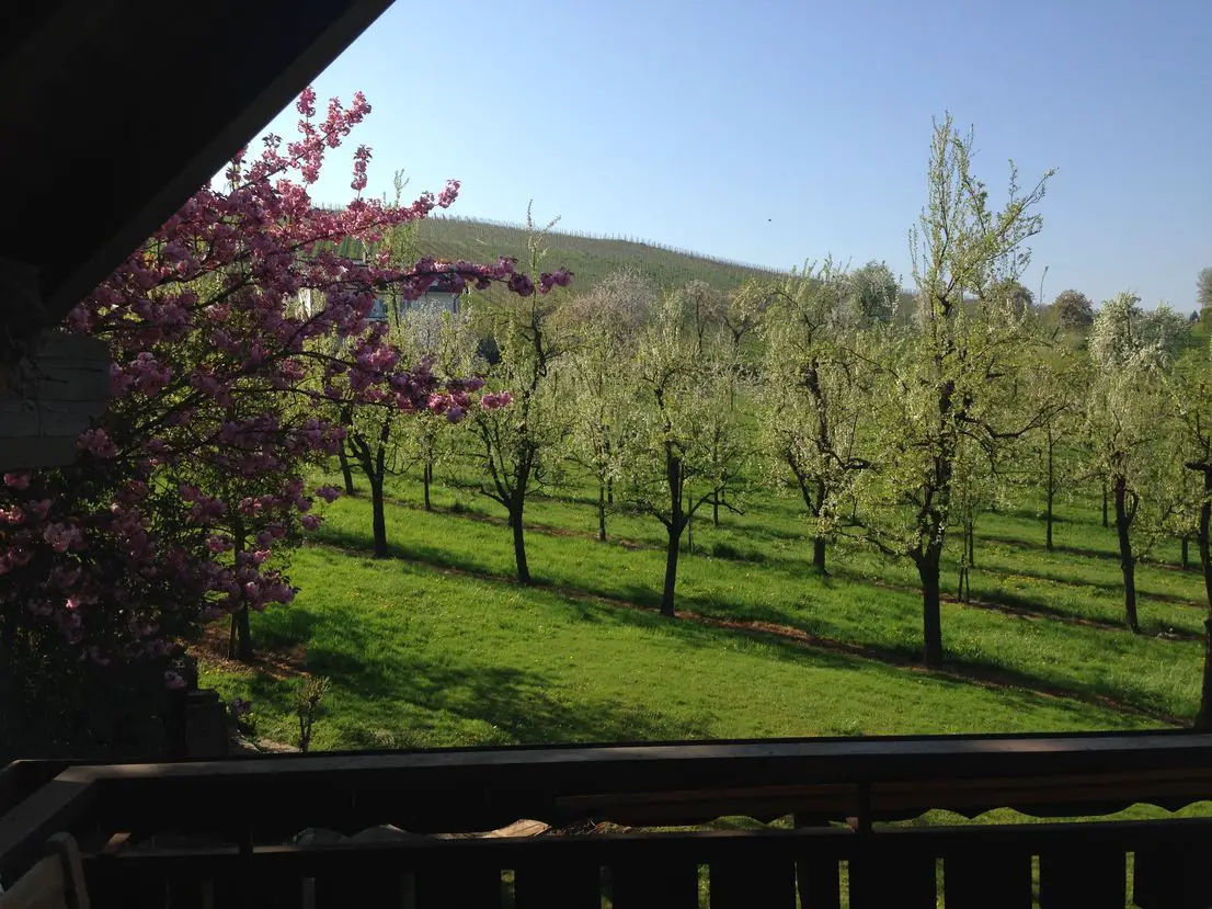 Blick vom Balkon -- Herrlicher Blick auf Obstgärten und Weinberge