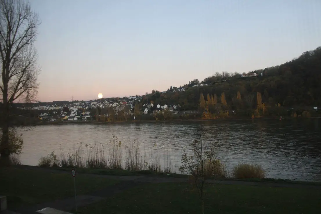 Ausblick -- Mehrfamilienhaus direkt am Rhein