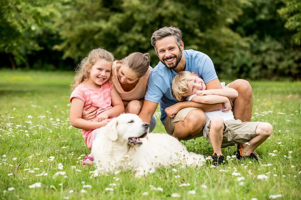 Familie mit Hund -- Vorkaufsrecht möglich. Ohne Eigenkapital und Altschulden ins Eigenheim