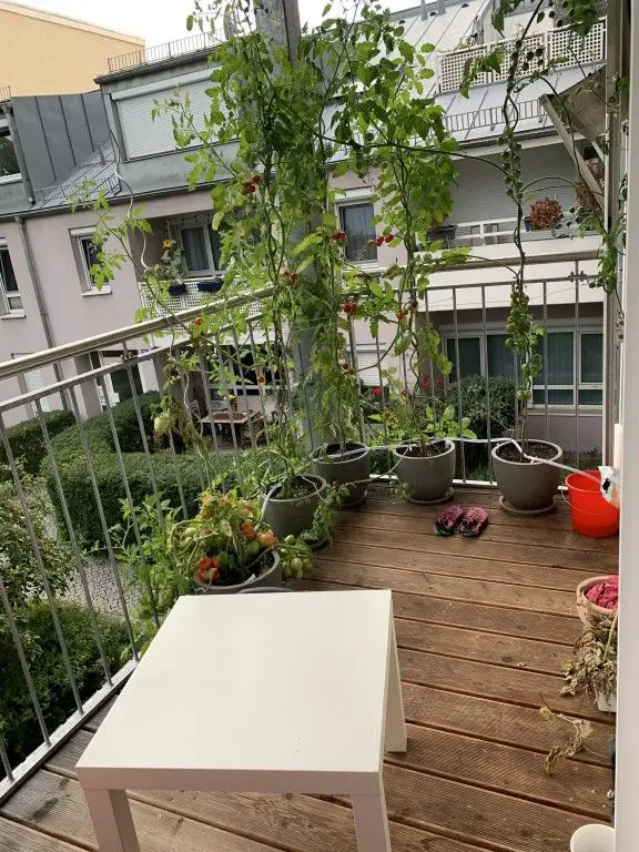 Balkon zum Innenhof -- Harras - schöne 3-Zi.-Wohnung in der Albert-Roßhaupter-Straße!