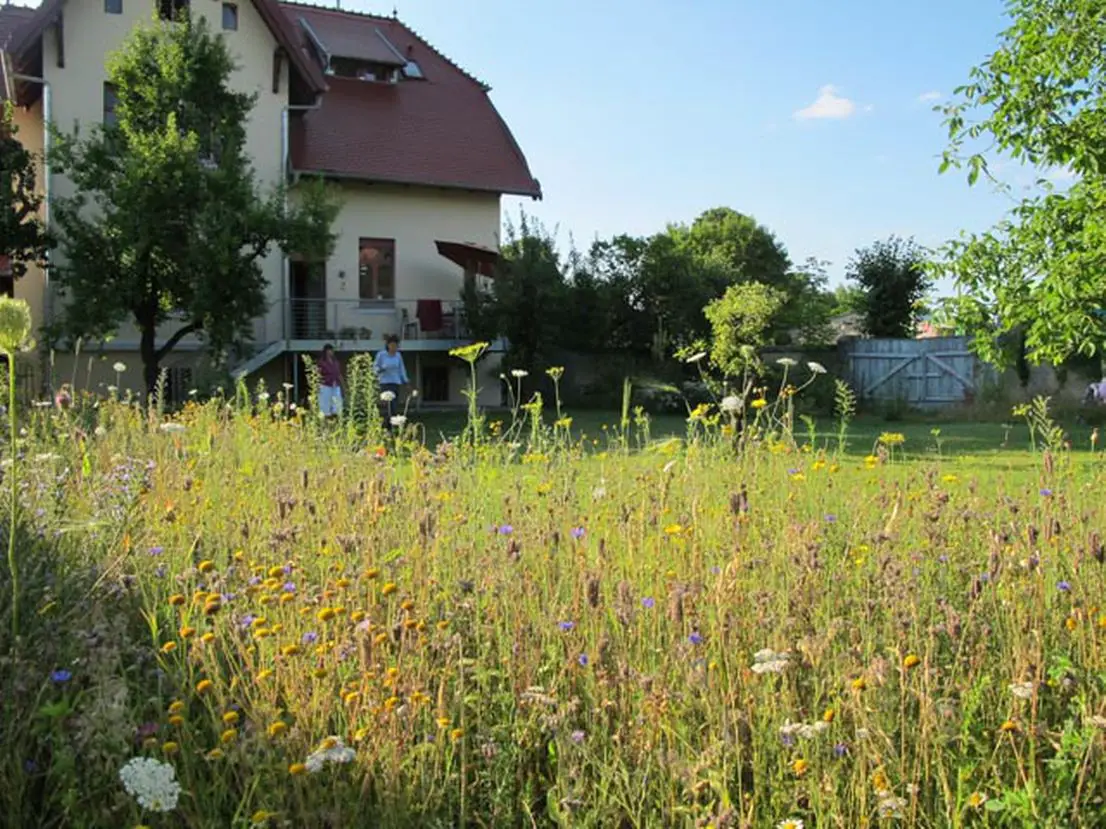 Blick vom Garten 2 (Sommer) -- Im Angebot: Eine wunderschöne Jugendstil Villa mit Nebengebäuden,in Lenzen/Elbe