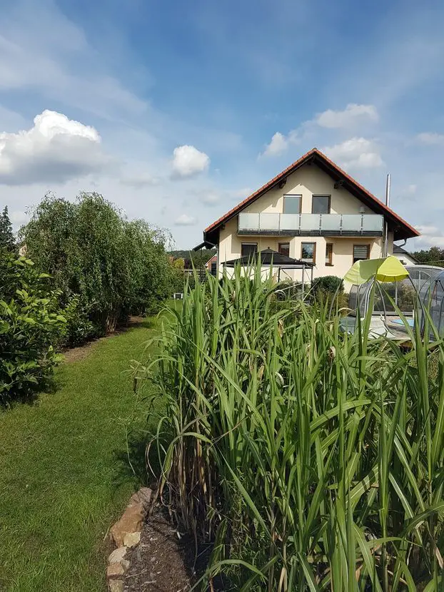 Blick vom Garten auf das Haus -- Provisionsfrei: Haus im Grünen - EFH in Coswig nahe Dresden mit großem Garten und Pool! ELW möglich