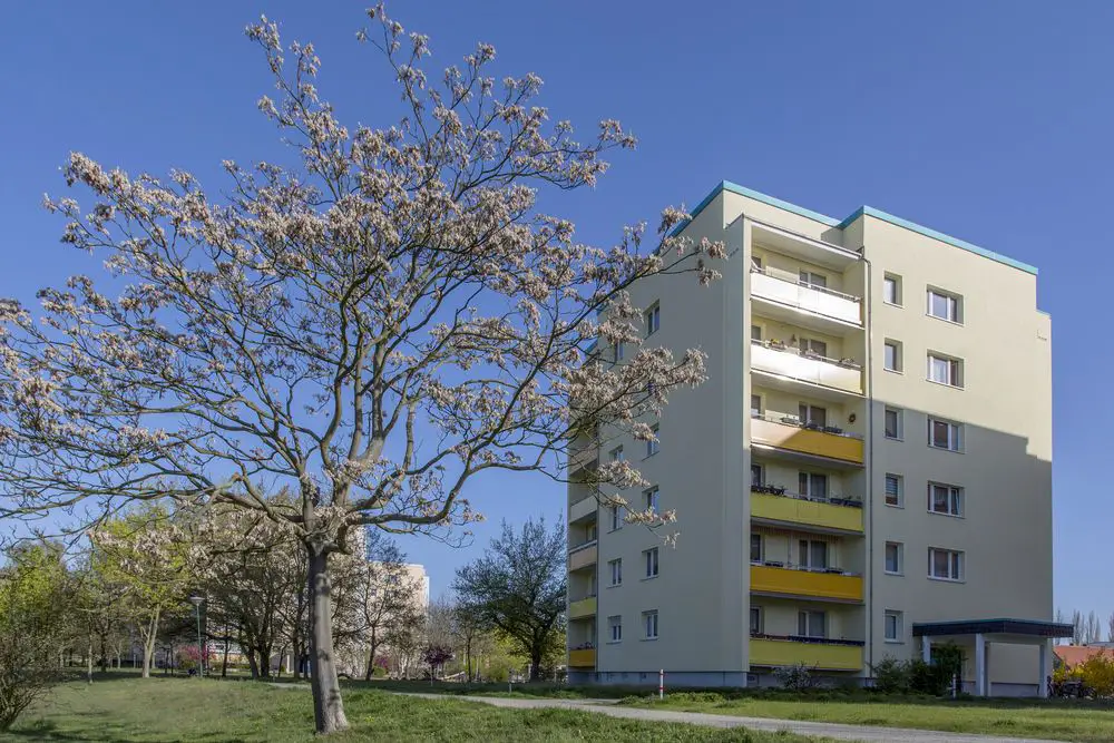 /www/htdocs/w00b8867/ companie -- 1-Raum Wohnung mit 41qm in Sachsendorf