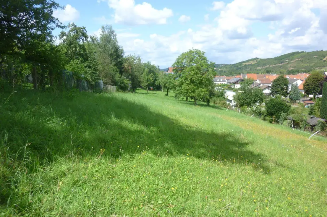 Das Grundstück -- Staudernheim/Nähe Bad Kreuznach - Großes Baugrundstück mit Fernblick -