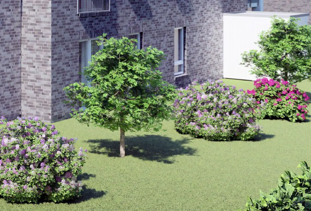 Garten -- Barrierefreie Neubauwohnung! Mit Garten, Fußbodenheizung und schlüsselfertiger Übergabe!
