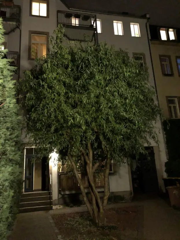 Innenhof -- Gemütliche 2-Zimmer-Mansardgeschoss-Wohnung mit Balkon in der Dresdner Neustadt
