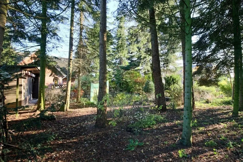 Baumbestand im Garten -- Ca. 320 m² Wohn- und Nutzfläche im Haus und über 1.300 m² Grundstück - zentral in Jübek! 