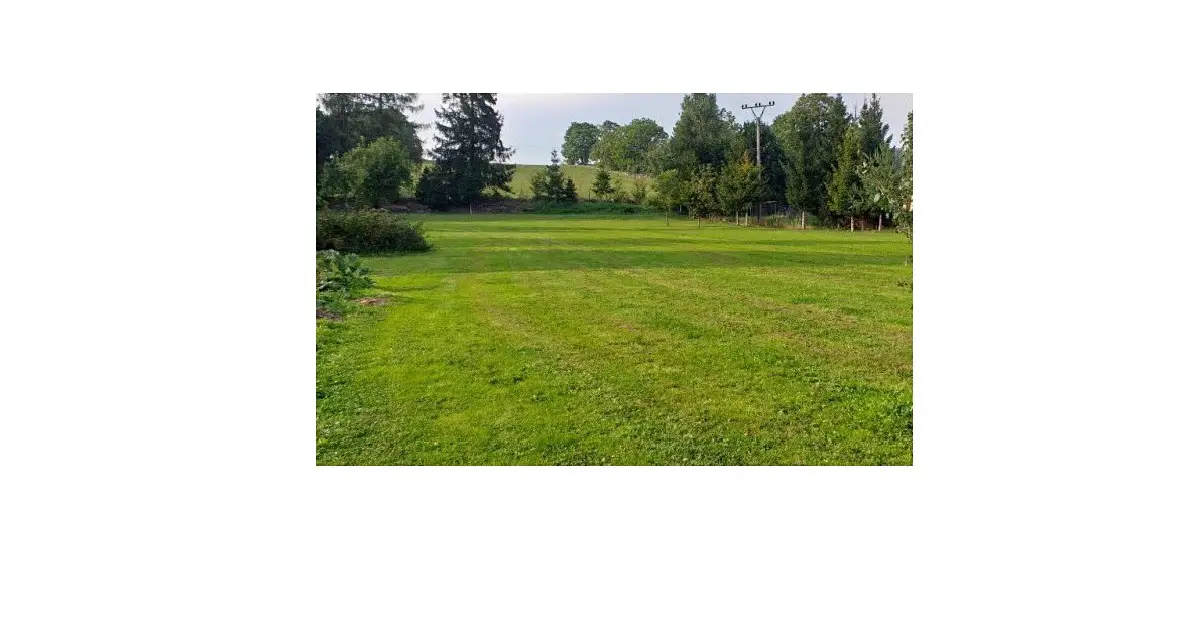 Prodej  zahrady 3 000 m², Lichnov, okres Bruntál