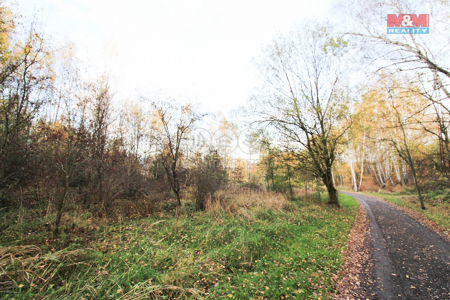 Chodov, okres Sokolov