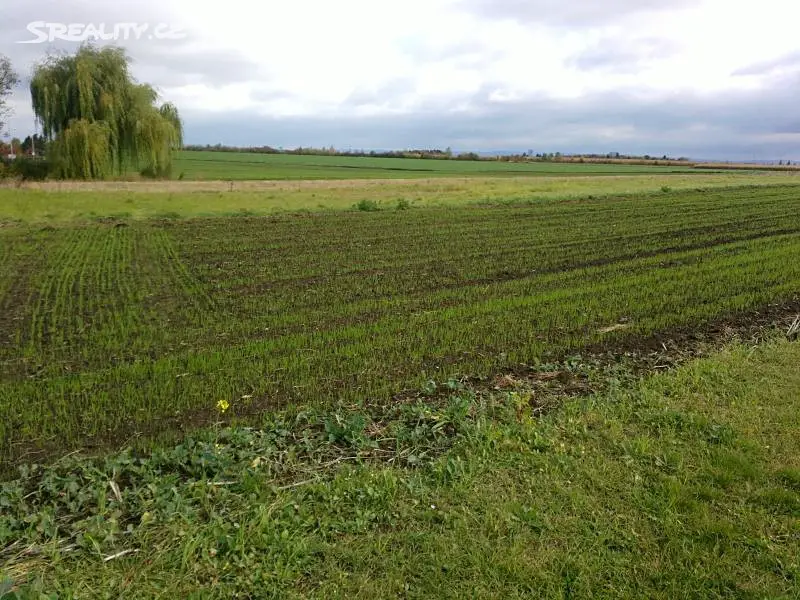 Prodej  komerčního pozemku 20 000 m², Všestary, okres Hradec Králové