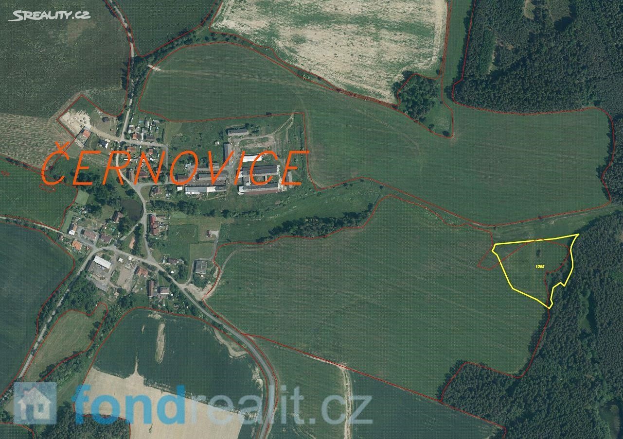 Prodej  pozemku 16 599 m², Černovice, okres Domažlice