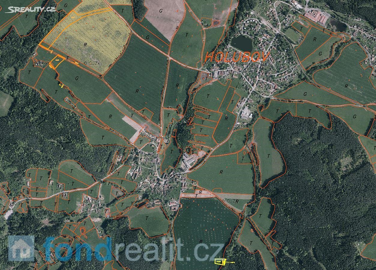 Prodej  pozemku 39 155 m², Holubov, okres Český Krumlov