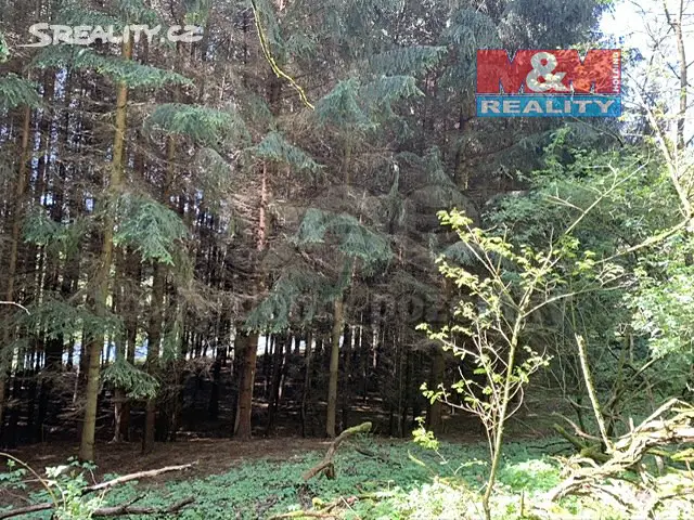 Prodej  lesa 3 632 m², Zruč-Senec - Senec, okres Plzeň-sever