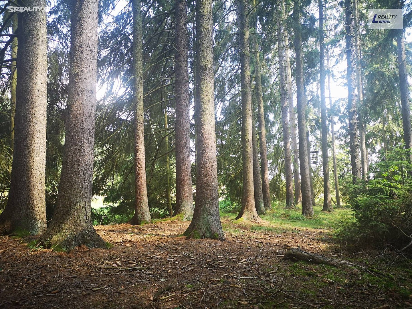 Prodej  lesa 59 470 m², Nečín, okres Příbram