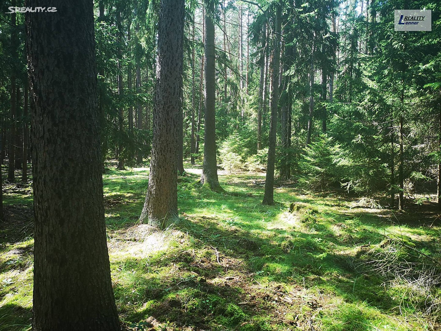 Prodej  lesa 59 470 m², Nečín, okres Příbram