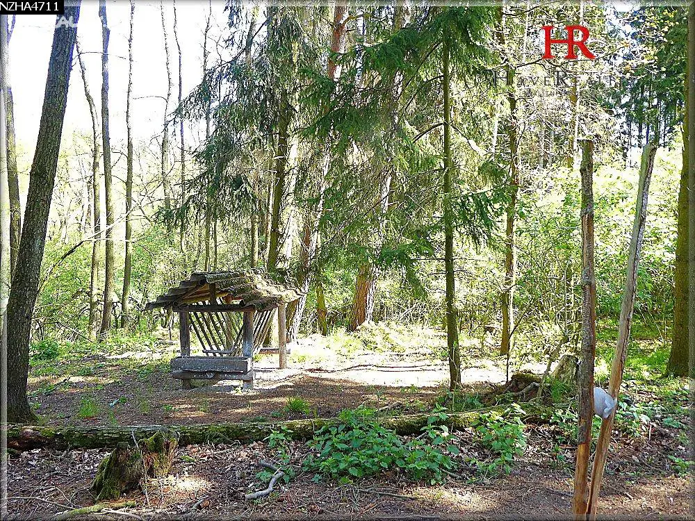 Prodej  lesa 22 138 m², Zhoř u Mladé Vožice, okres Tábor