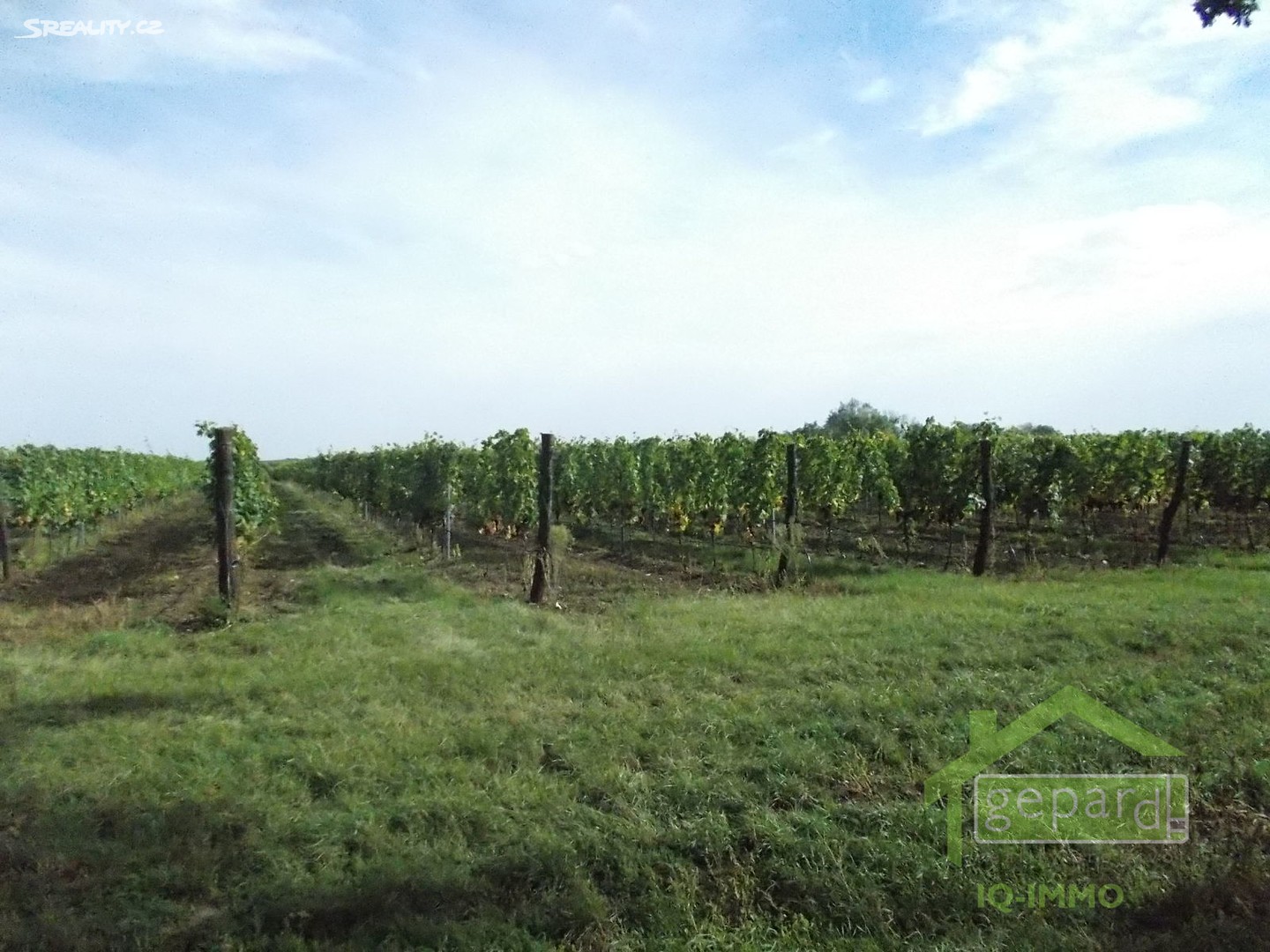 Prodej  sadu, vinice 196 628 m², Božice, okres Znojmo