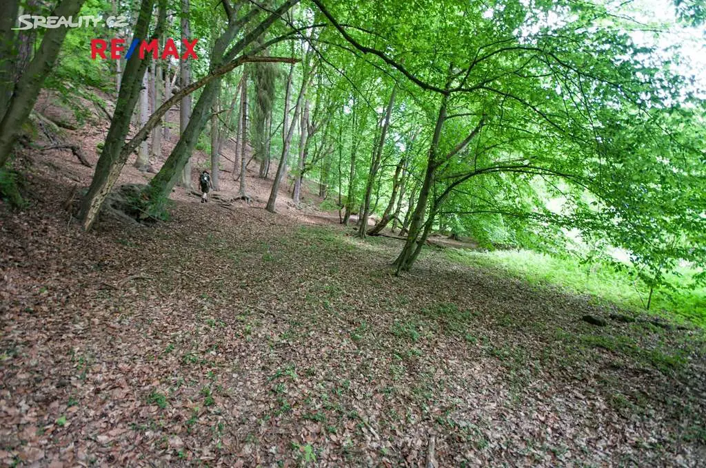 Prodej  lesa 13 685 m², Kokořín, okres Mělník