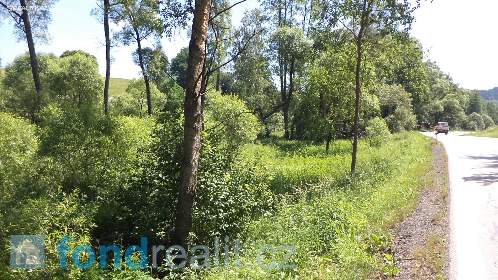 Prodej  pozemku 18 903 m², Dolní Dvořiště - Jenín, okres Český Krumlov