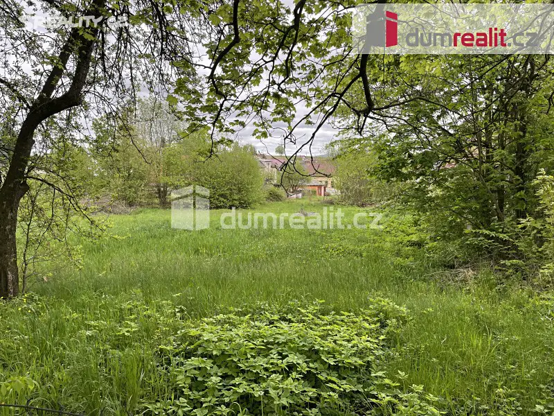 Prodej  rodinného domu 100 m², pozemek 4 582 m², Bělá, okres Havlíčkův Brod