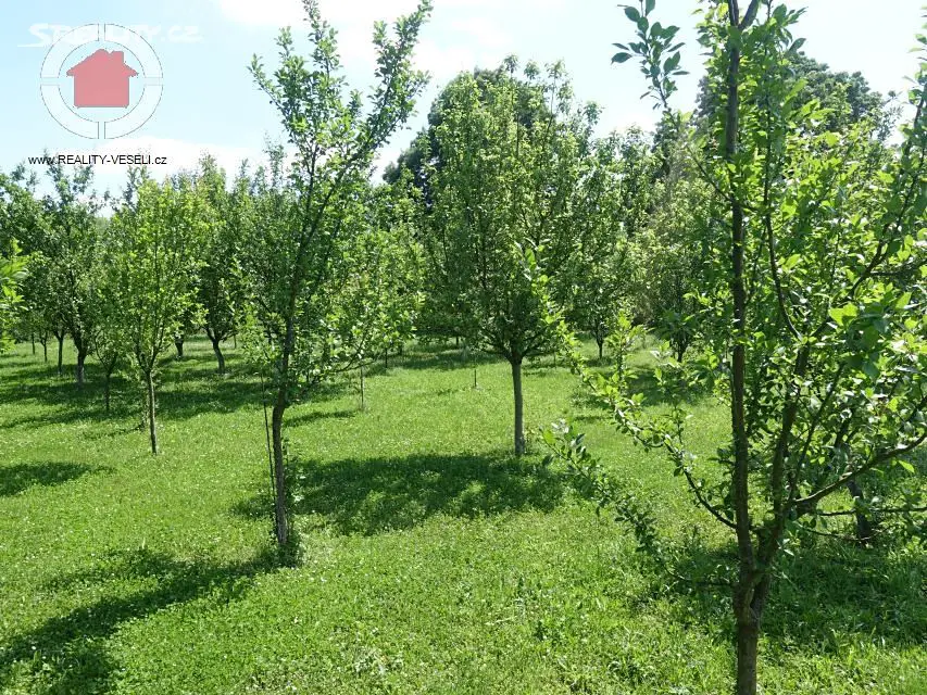 Prodej  zahrady 2 117 m², Veselí nad Moravou, okres Hodonín
