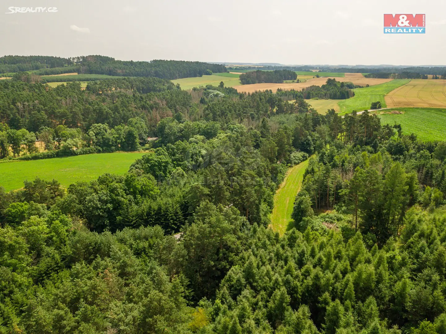 Prodej  lesa 24 443 m², Tasov, okres Žďár nad Sázavou