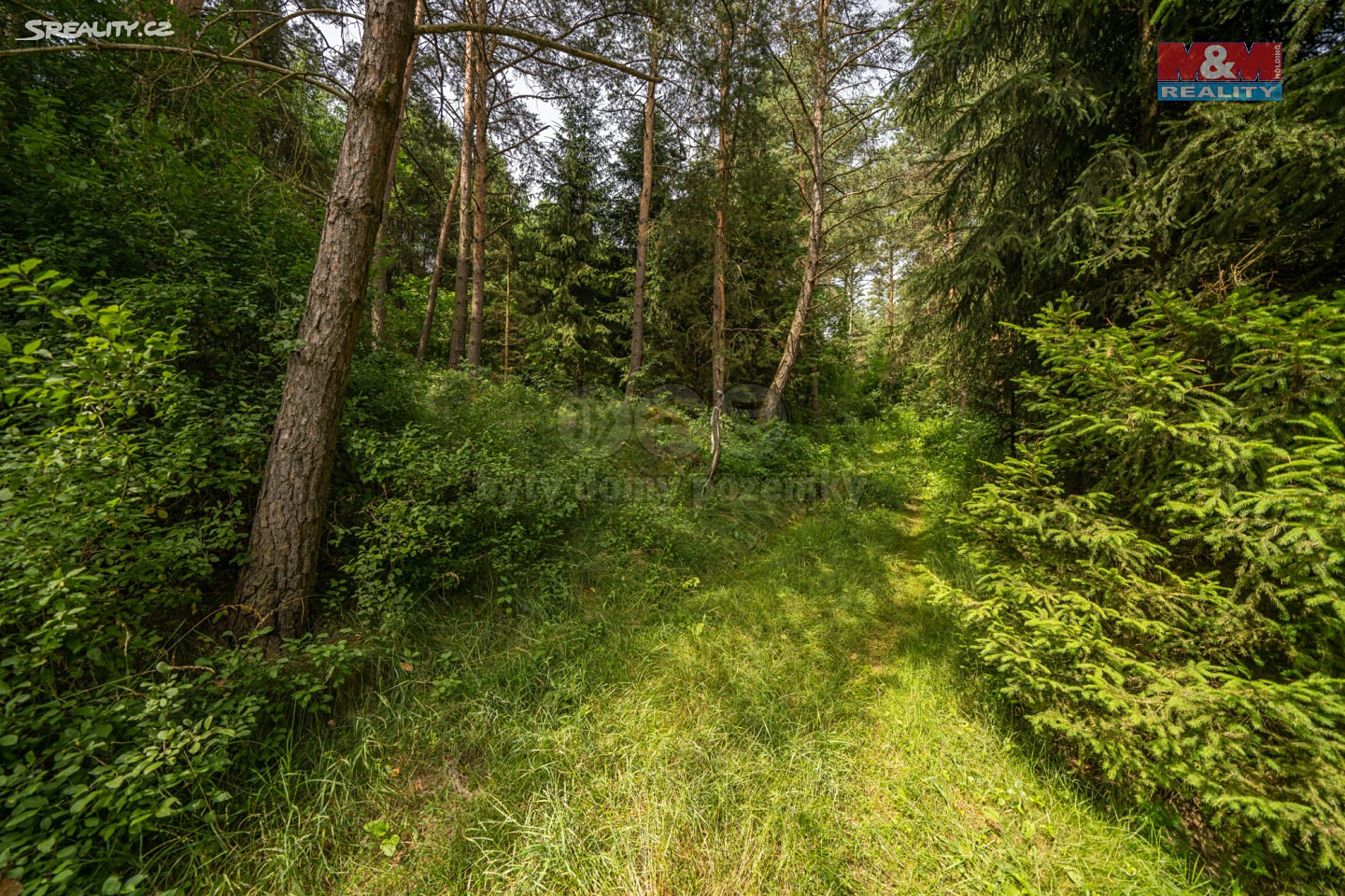 Prodej  lesa 24 443 m², Tasov, okres Žďár nad Sázavou